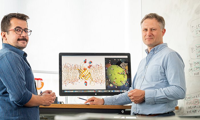 Prof. Franz Hagn und Dr. Umut Günsel vor einem Strukturmodell des Transportproteins. Fotografiert am Bayersichen NMR Zentrum. 