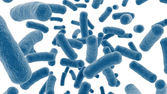Grafische Darstellung von Bakterien