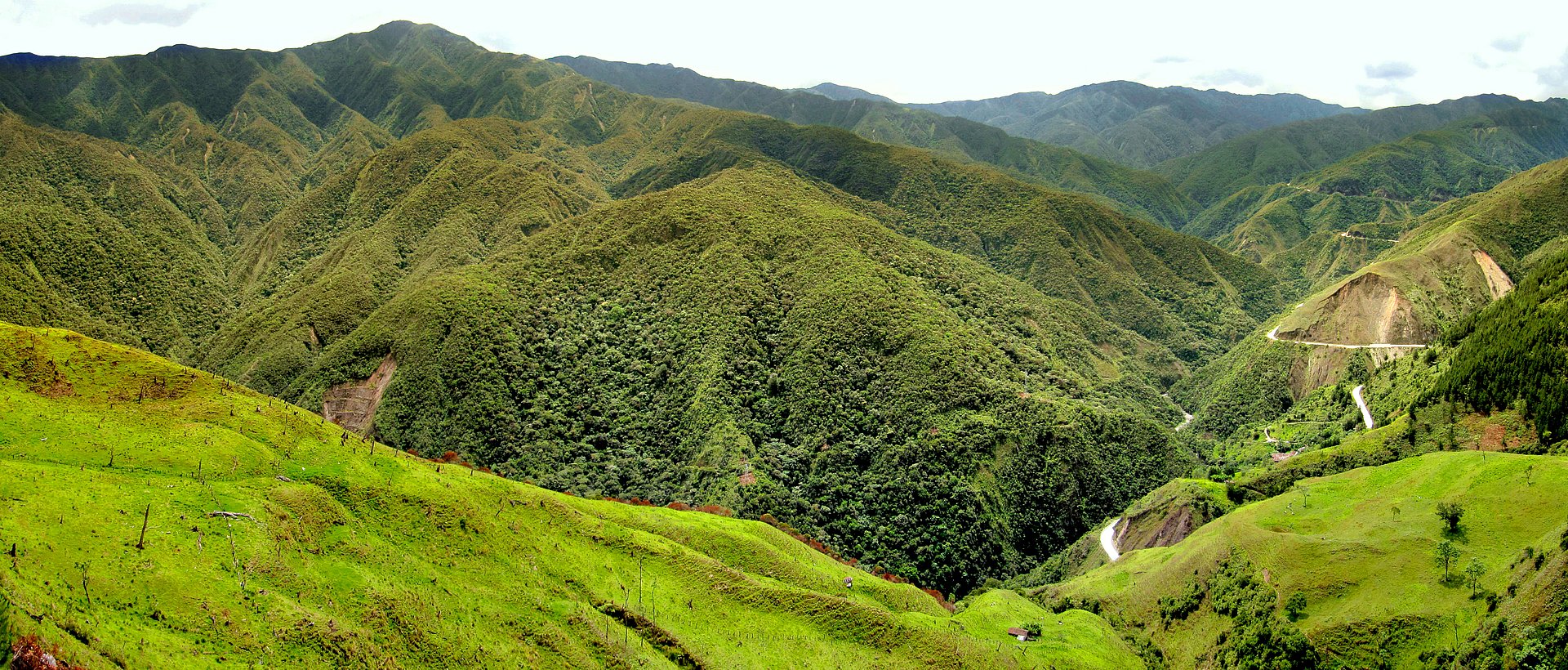 Researchers present new aspects of land use for Ecuador.