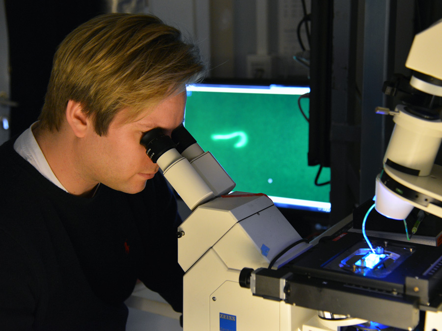Markus Harasim monitors the movement of polymer molecules in the microscopic flow channel – Photo: Andreas Battenberg / TUM