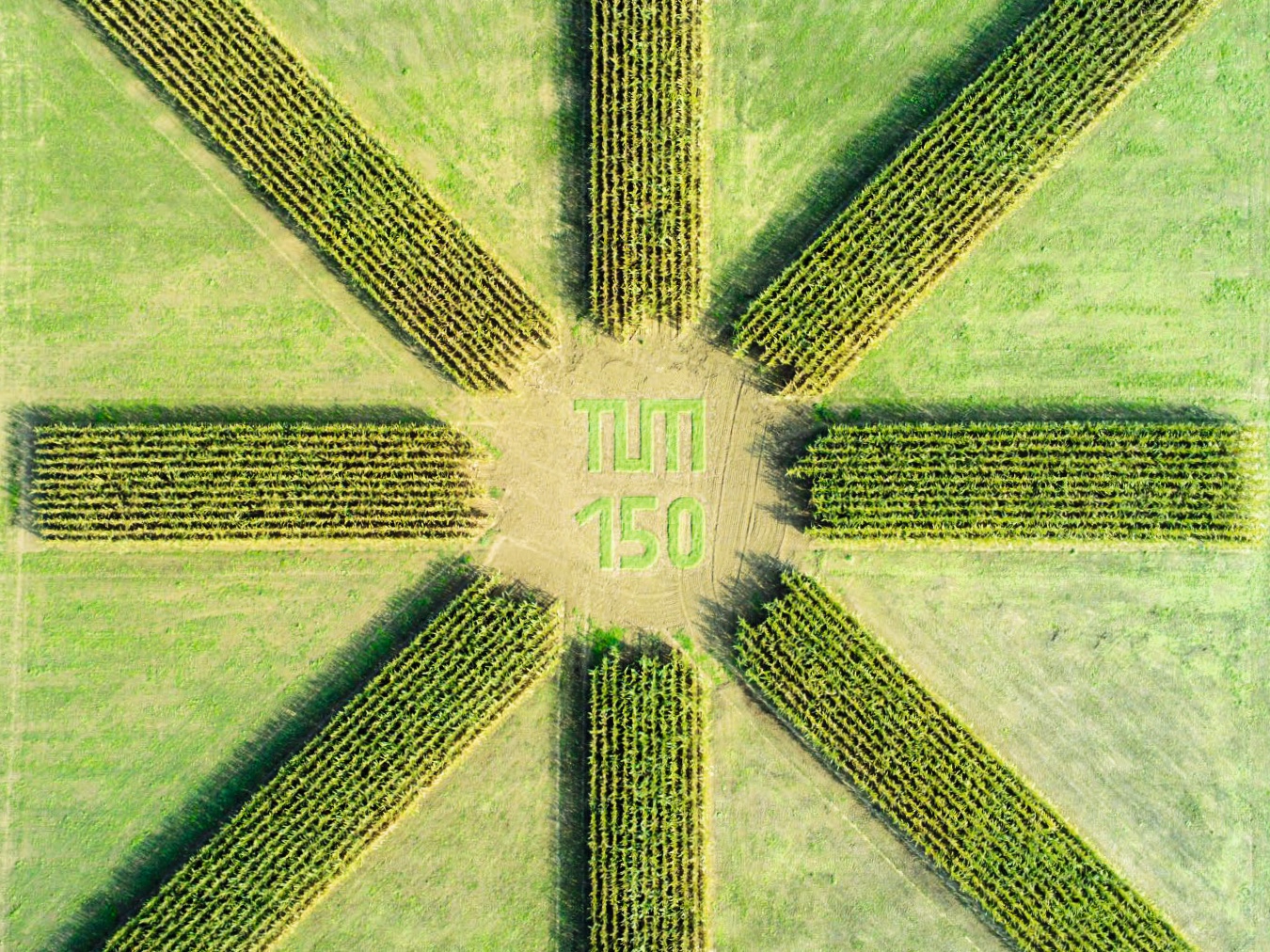 Im Jubiläumsjahr entstand diese Luftaufnahme einer Maisanpflanzung des Lehrstuhls für Pflanzenernährung, die nun die Weihnachtskarten der TUM ziert. (Bild: Prof. Urs Schmidhalter)