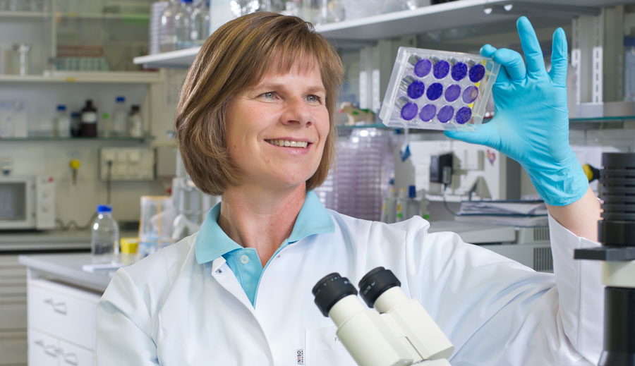 Prof. Ulrike Protzer (photo) and Prof. Mathias Heikenwälder destroyed the viral DNA in the liver cells (Photo: TUM)