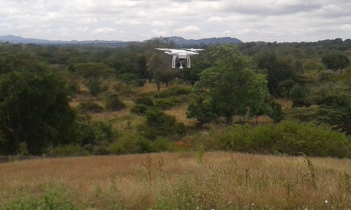 This is a drone as it was used by scientist Jan C. Habel – here the drone is flying across an agrarian used area in Kenya. (Photo: J. C. Habel/ TUM)