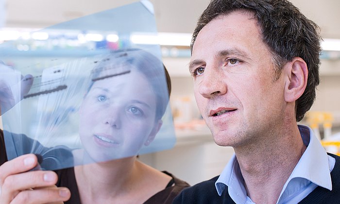 Professor Jürgen Ruland and a member of his team looking at lab results.