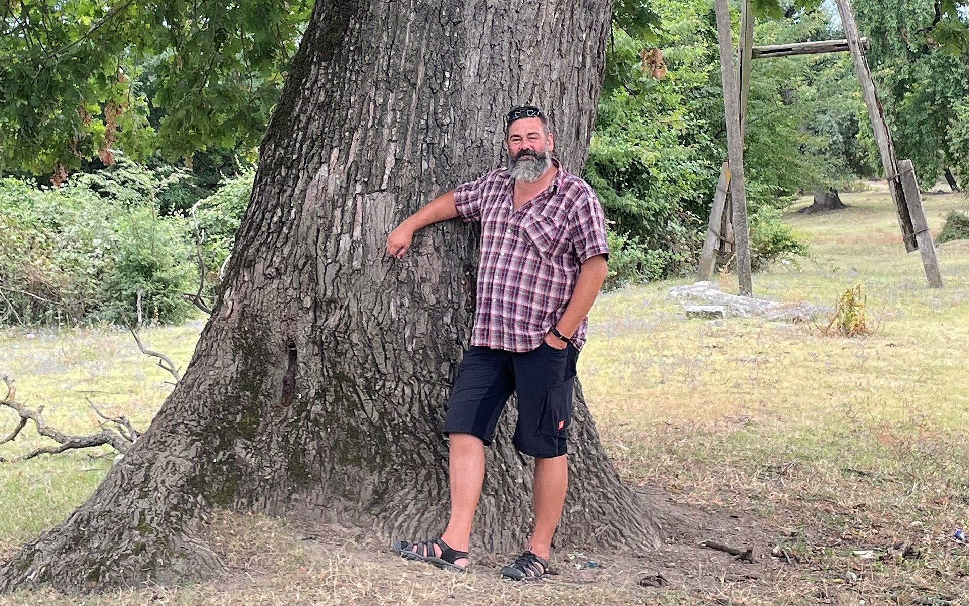 Mann steht vor einem Baum.
