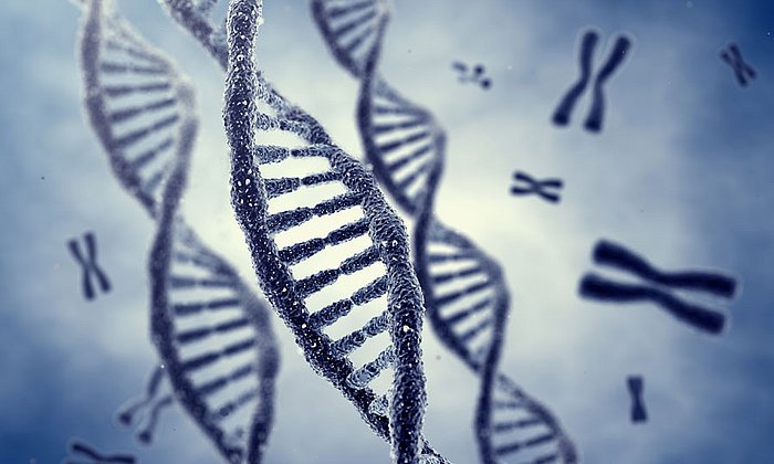 An ERC grant project is investigating chromosomes. (Image: nobeastsofierce / Fotolia)