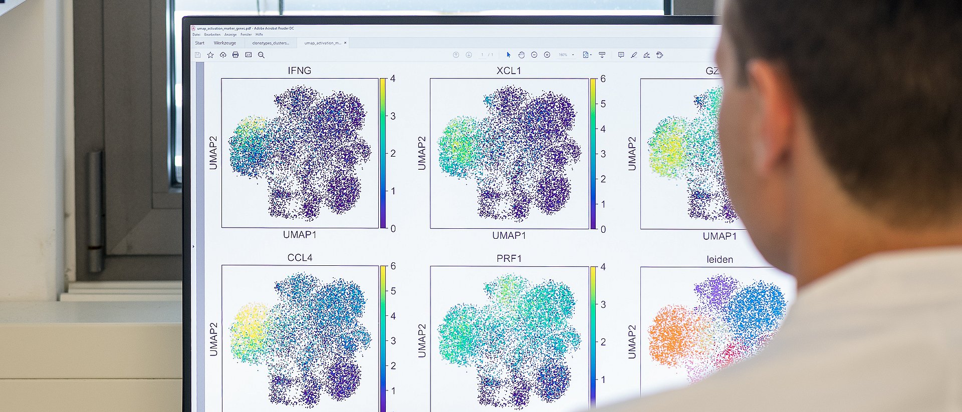 Researcher works in front of a monitor