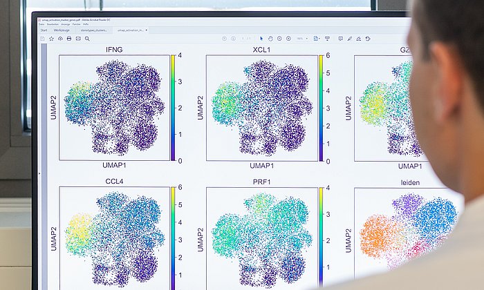 Researcher works in front of a monitor