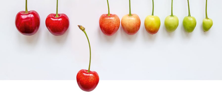 The cherry on the cake: The University Library will not revoke extended lending periods any more. (Foto: losonsky/Fotolia)