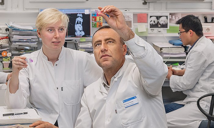 Kathrin Ciecielski and Prof. Hana Algül (right) discuss the results of the study.  (Image: A. Heddergott / TUM)