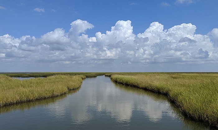 A water landscape where grasses grow right at the river shore.
