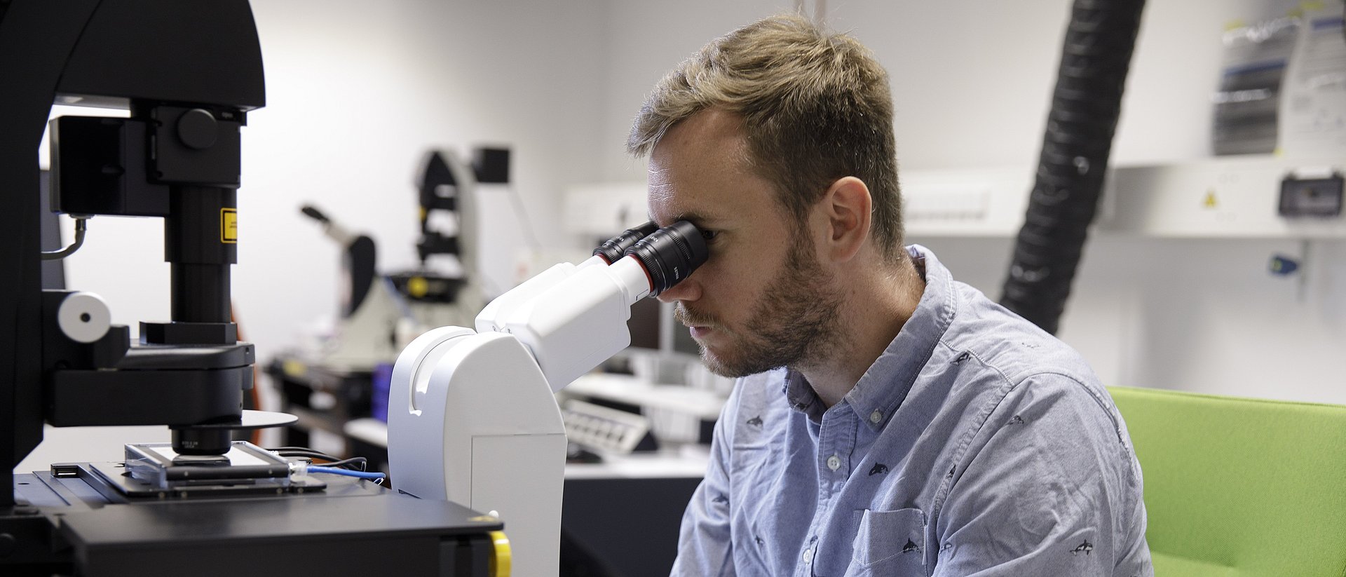 Benedikt Buchmann am Mikroskop Erstautor Benedikt Buchmann am Mikroskop. Durch zeitaufgelöste Beobachtung der Zellen konnte das Forschungsteam die Wechselwirkungen zwischen den Organoid-Zellen und dem umgebenden Kollagen im Detail verfolgen.