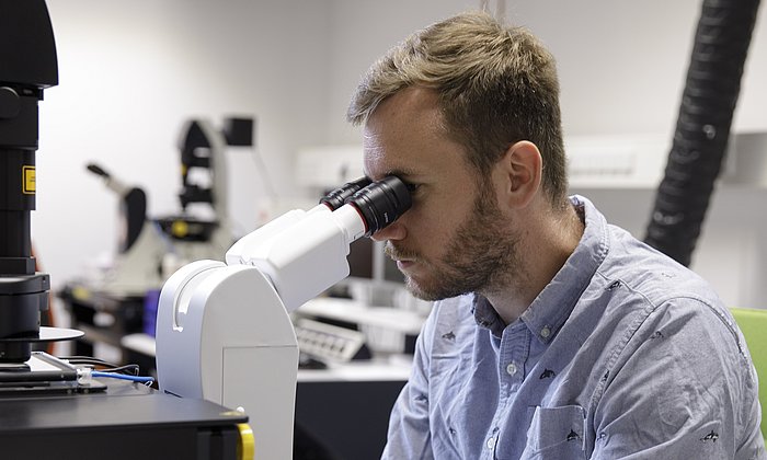 Erstautor Benedikt Buchmann am Mikroskop. Durch zeitaufgelöste Beobachtung der Zellen konnte das Forschungsteam die Wechselwirkungen zwischen den Organoid-Zellen und dem umgebenden Kollagen im Detail verfolgen.