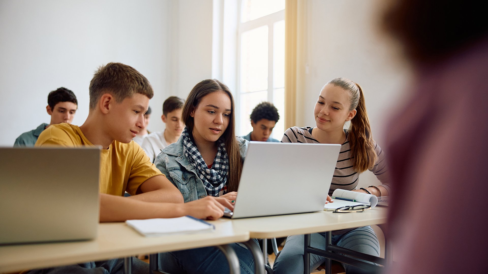 PISA study Teens with a laptop