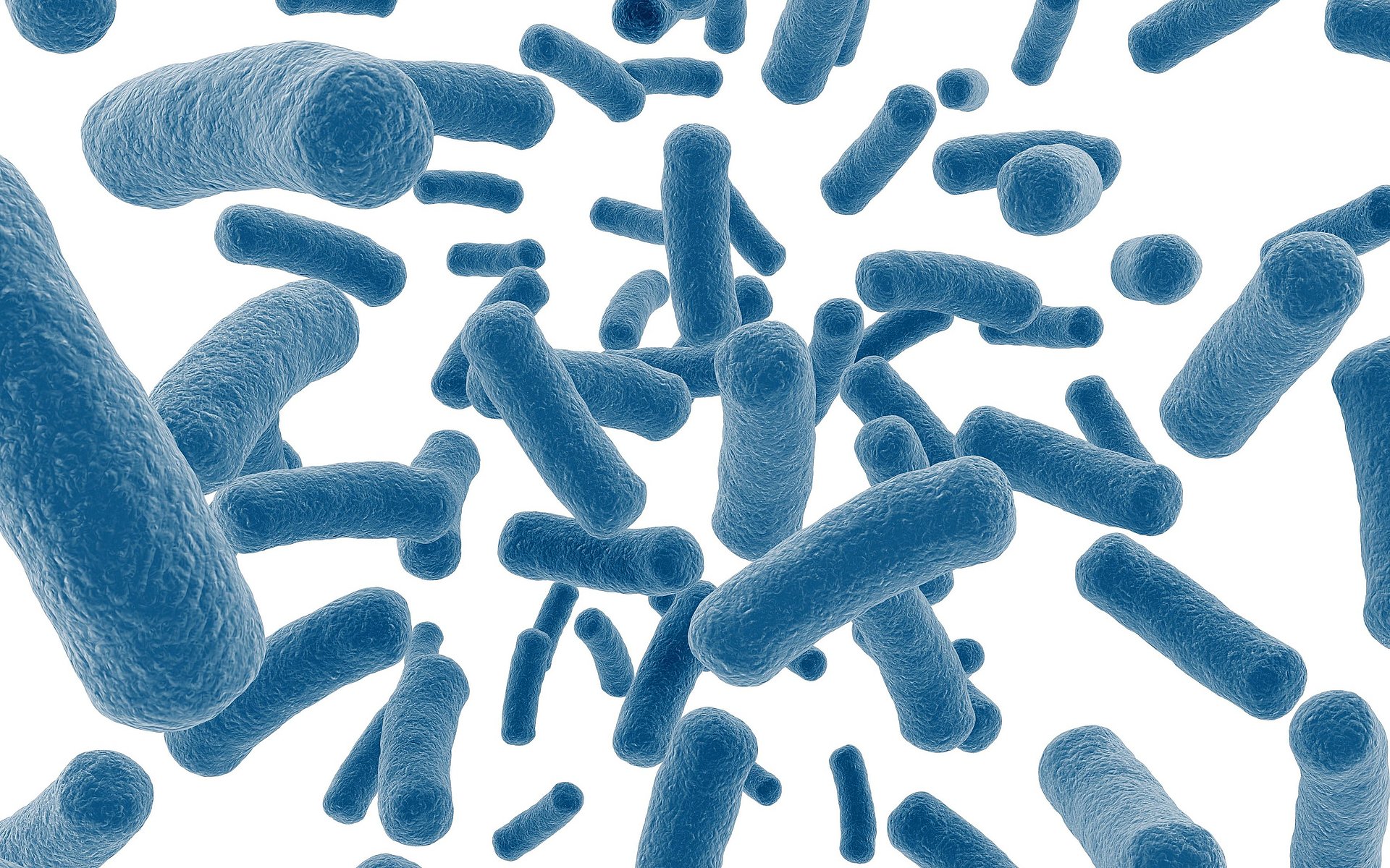 Graphic of bacteria Bacteria