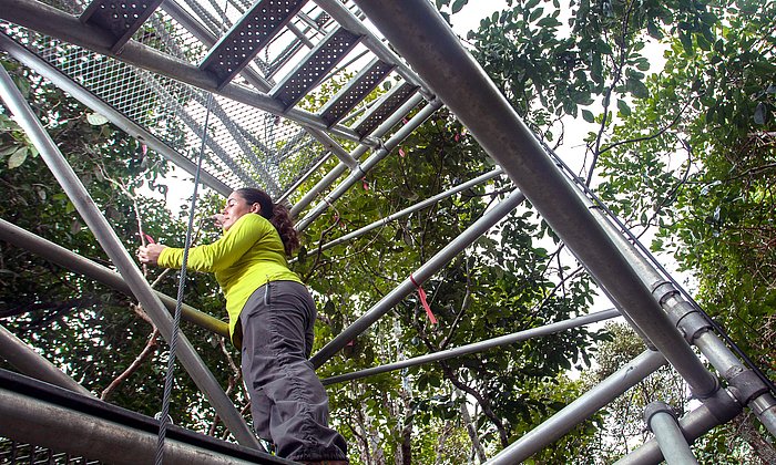 Juliane Menezes attaches markers to leaves to track their life cycle.