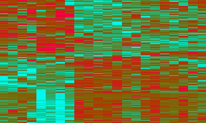 Proteome analysis was used to identify 204 proteins whose concentration in the irritable bowel supernatants was different from that in the biopsies of the other subjects. (Image: PLOS)