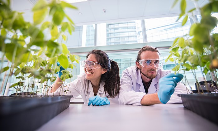 Two researchers in white coats in the lab with plants.