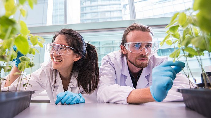 Hui Qi Yeo (l.) and Andrea Spaccasassi are researching new technologies at TUMCREATE to produce protein-rich food from soy plants and algae for the high-tech metropolis of Singapore.