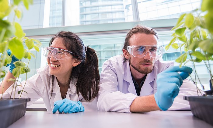 Hui Qi Yeo (l.) and Andrea Spaccasassi are researching new technologies at TUMCREATE to produce protein-rich food from soy plants and algae for the high-tech metropolis of Singapore.
