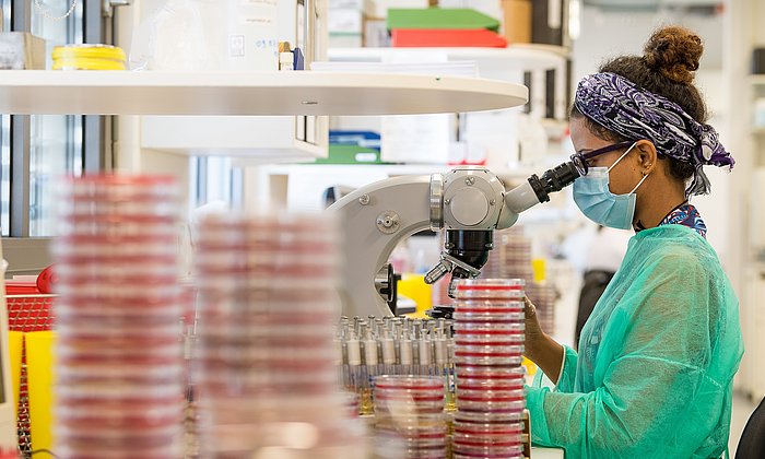 Laboratory at the Institute of Immunology