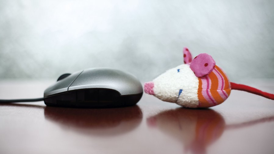Computermaus neben Spielzeug-Maus