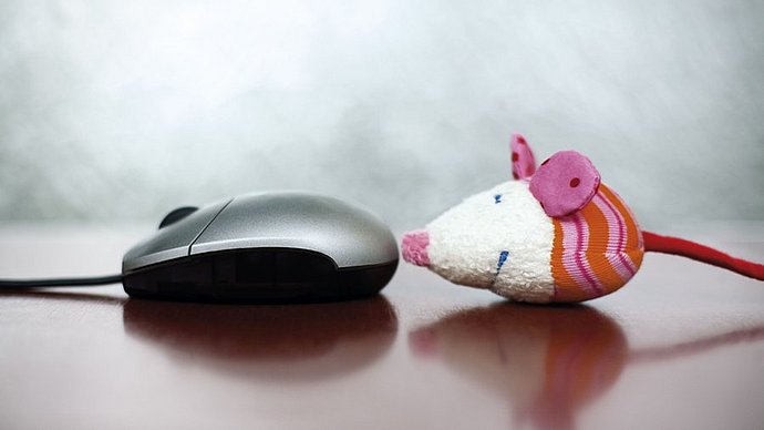 A computer mouse next to a toy mouse