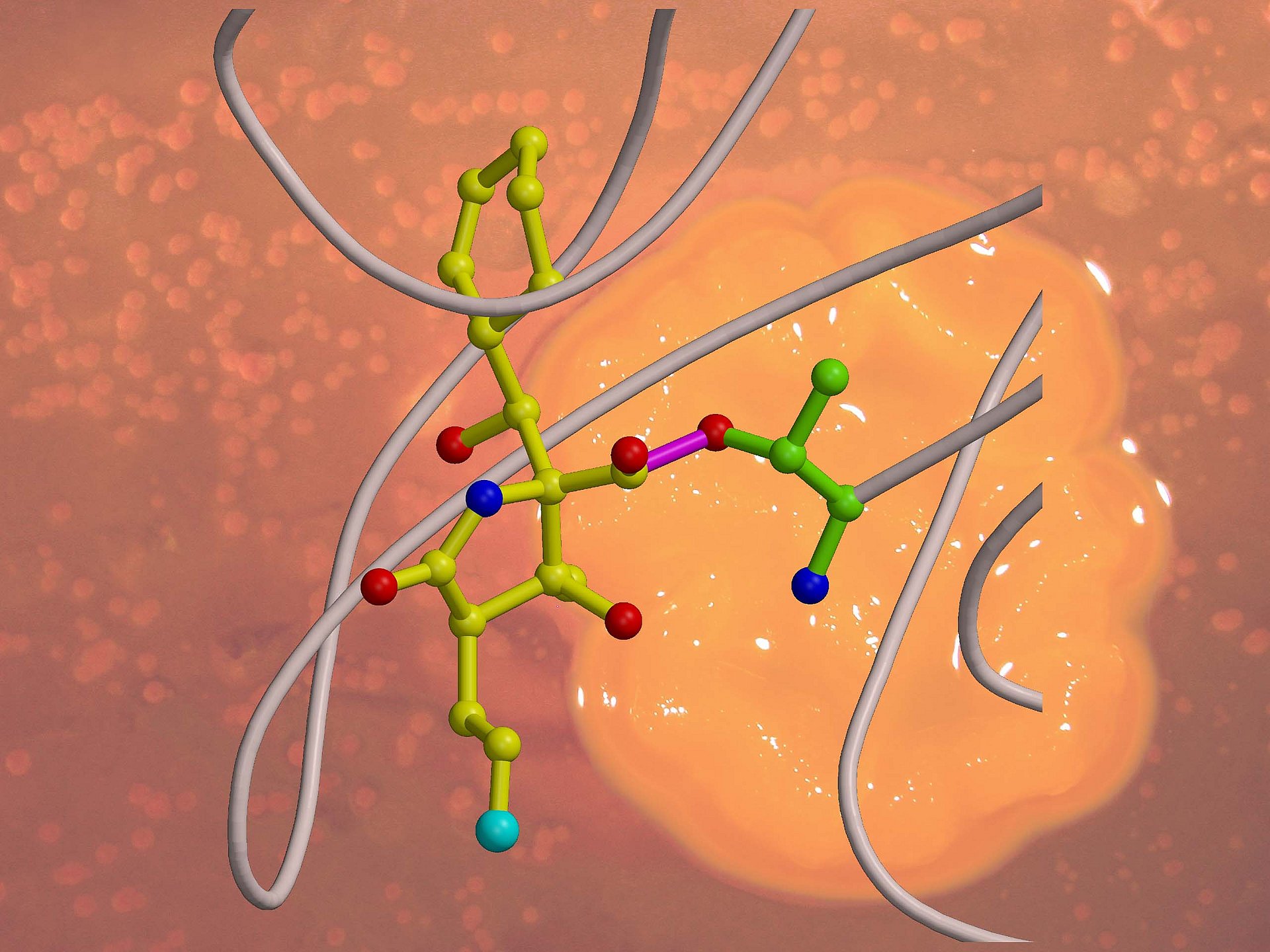 Salinosporamide A locks the proteasome like a key