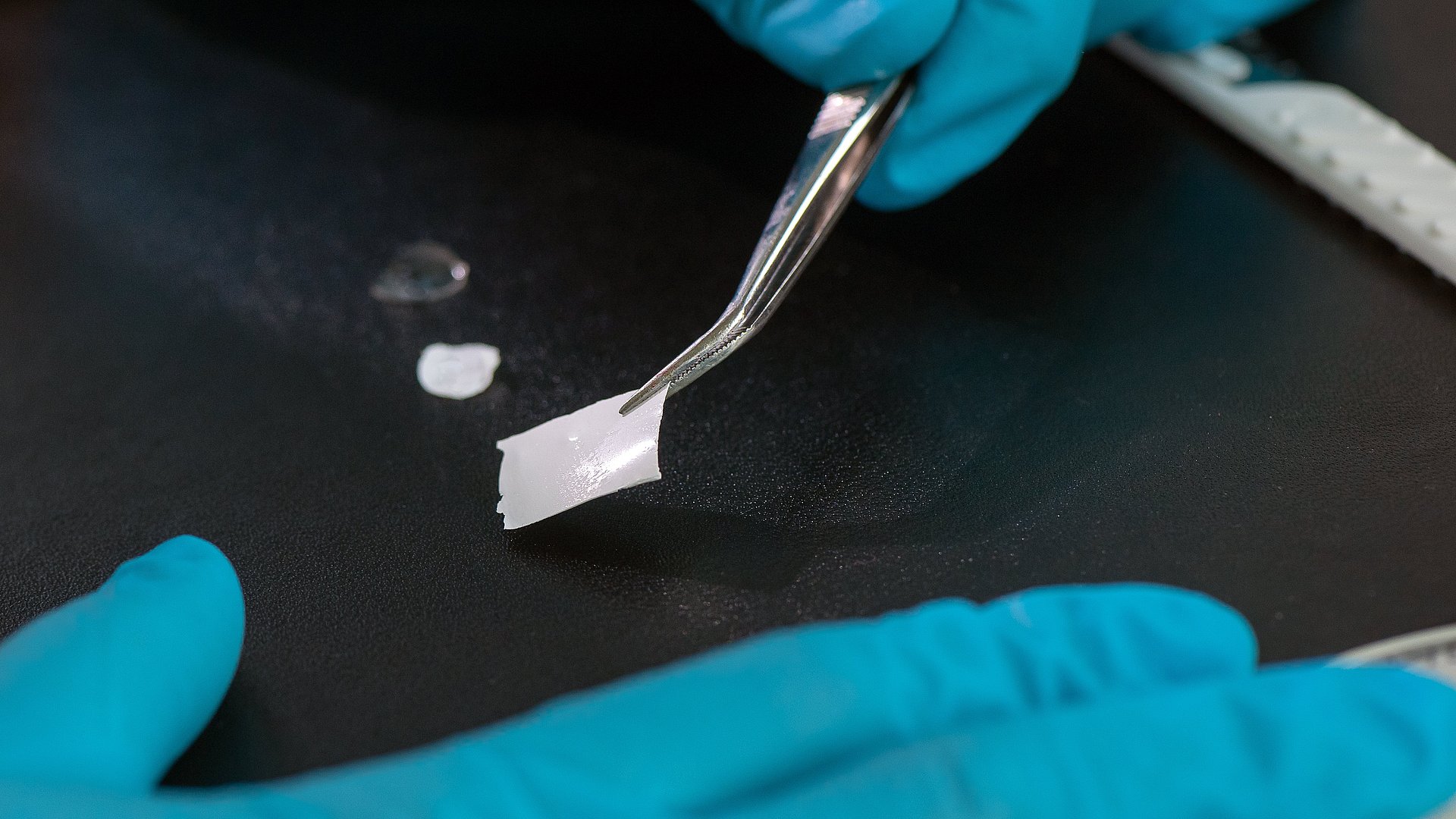 When dry, the novel biomolecular film can be picked up with tweezers can easily be placed onto a wound.