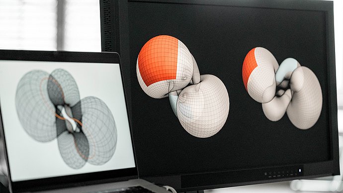 Two screens, each displaying a pair of tori.