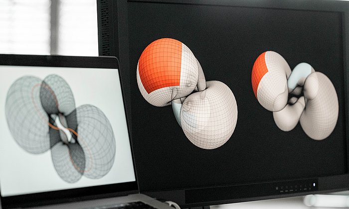 Two screens, each displaying a pair of tori.