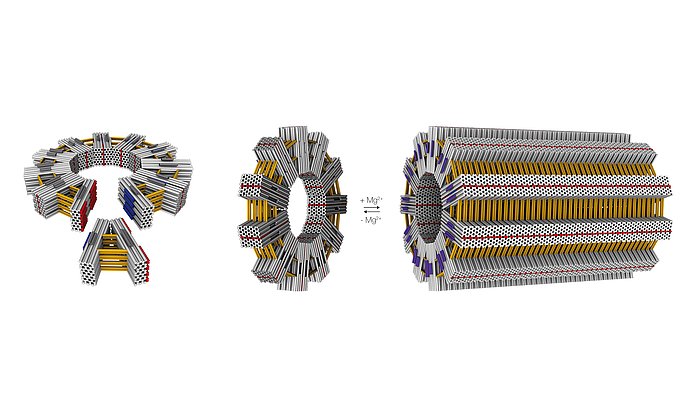 DNA-Origami