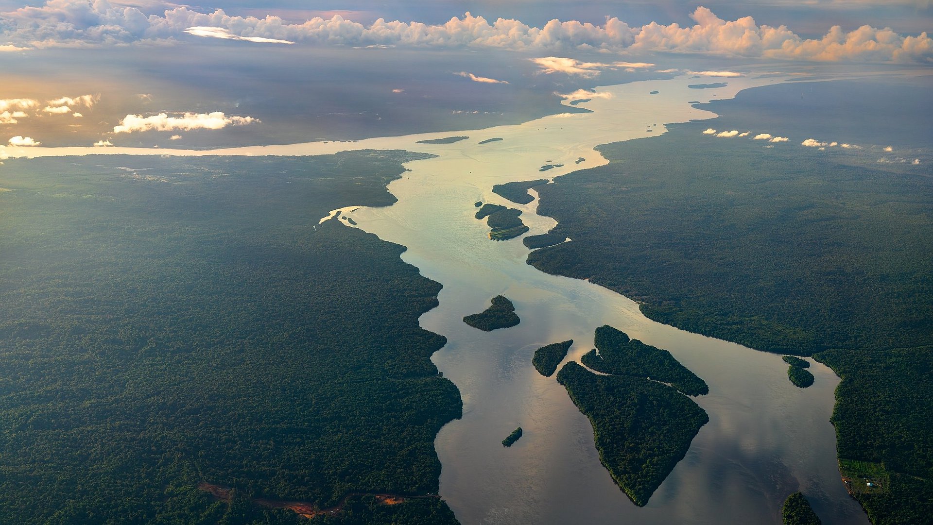The Amazon rainforest is one of the four most important interconnected parts of the climate system.