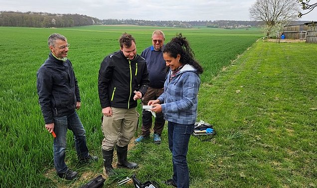 Eine Frau und drei Männer stehen auf einem Acker. Die Frau zeigt den Männern ein Gerät in ihrer Hand. Es handelt sich um das Gerät, dass das NutriSen-Team zur smarten Düngung entwickelt hat.