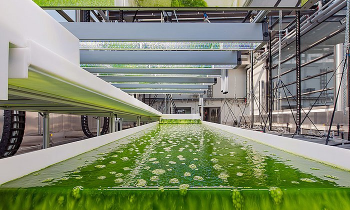 Das neue Algentechnikum auf dem Ludwig Bölkow Campus in Ottobrunn – Foto: Andreas Heddergott / TUM