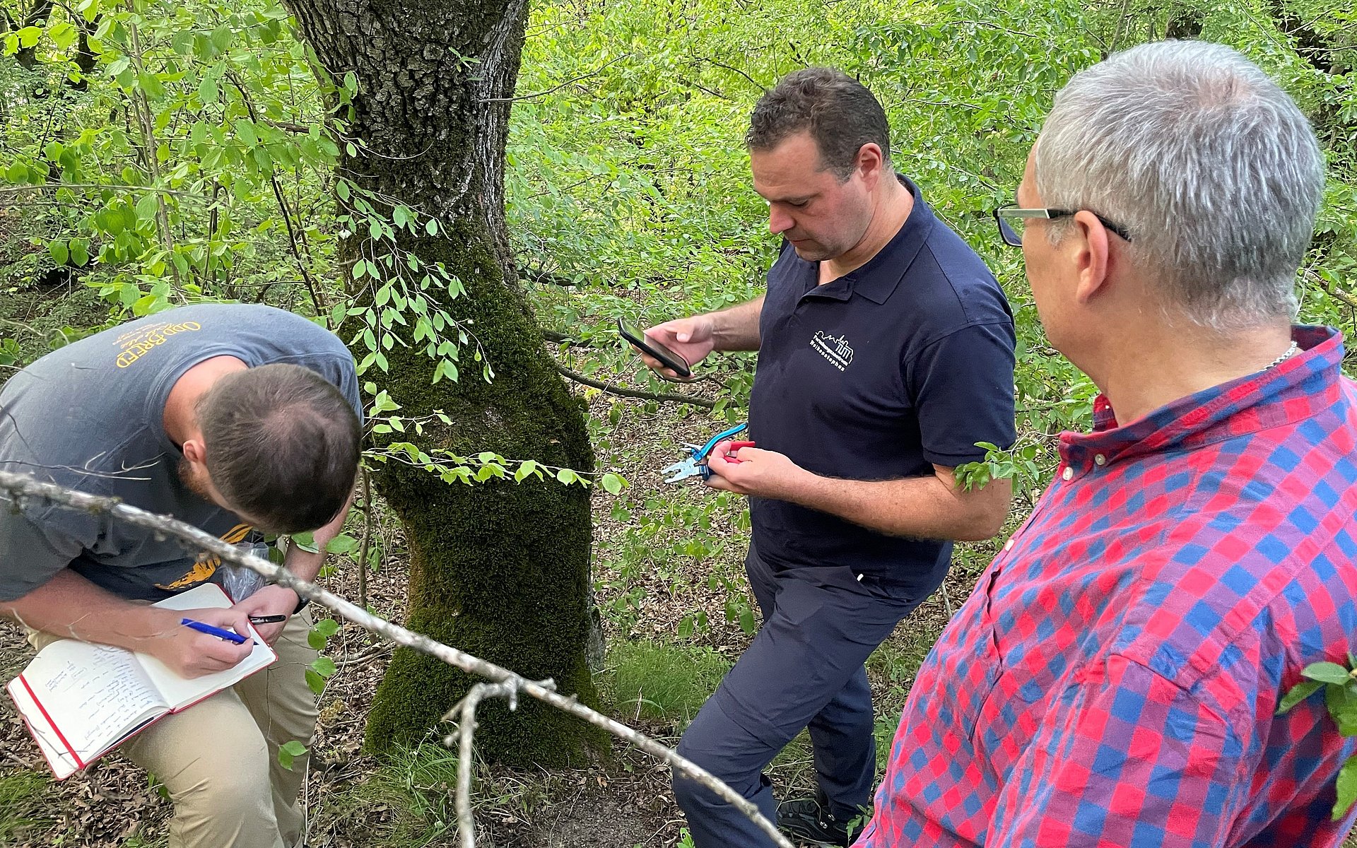 Ein Mann entnimmt eine Probe von einem Baum, ein anderer vermerkt Nach der Probennahme werden die Koordinaten der Fundstelle im Laborbuch vermerkt. 