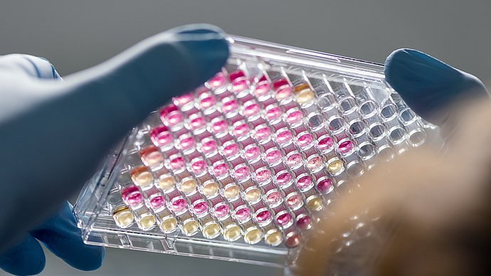 Forschung in einem naturwissenschaftlichen Labor