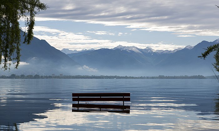 A bench in a flooded area.