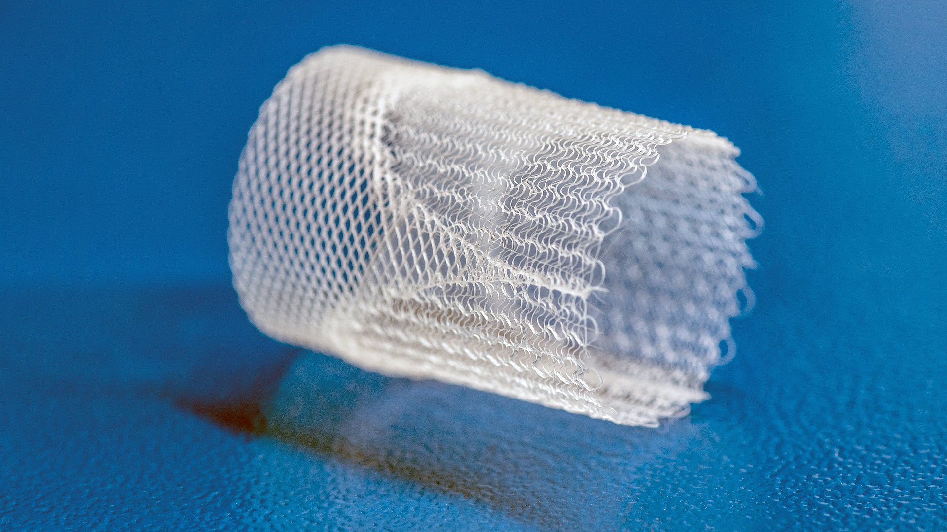  A close-up of a printed scaffold for a heart valve. The different structures that ensure the appropriate biomechanics are clearly visible. 