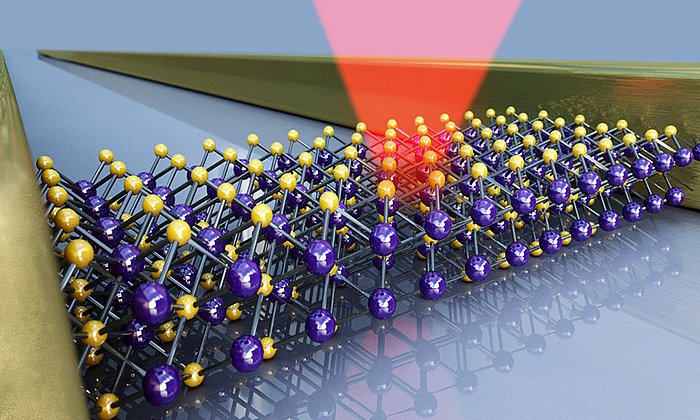 Wismut-Selenid-Probe zwischen zwei Gold-Elektroden – Bild: Christoph Hohmann / NIM