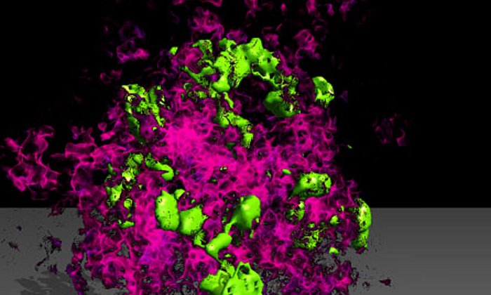 In Kokon-artigen Strukturen in der Leber erfolgt die Expansion von T Zellen (grün). Monozyten (rot), unterstützen die T Zell Expansion.
