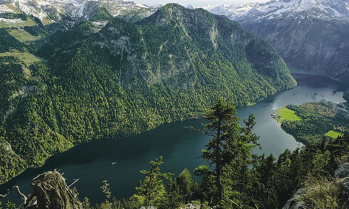 Blick auf den Königssee