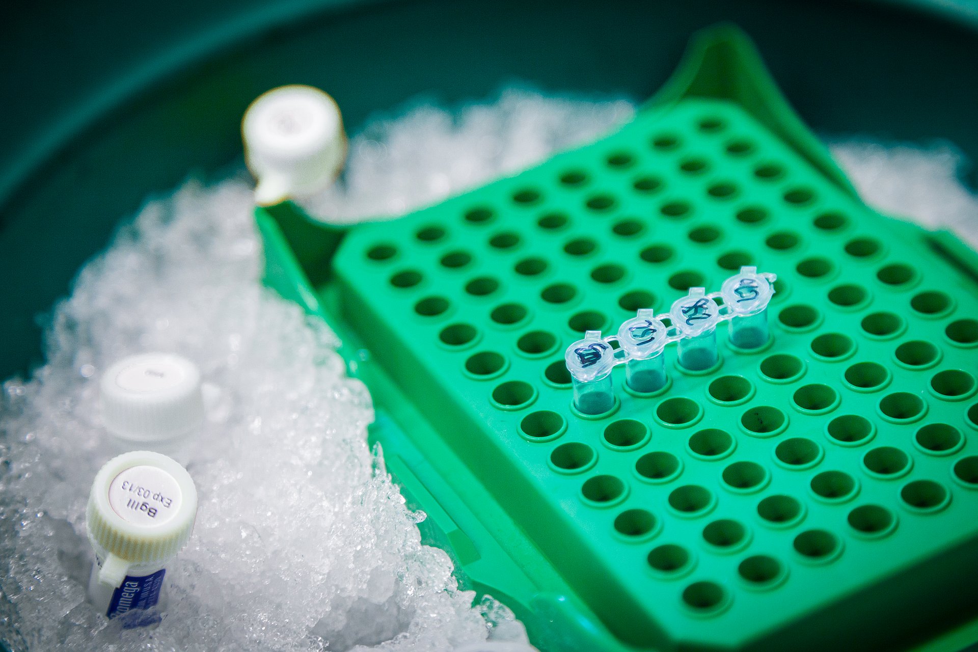 Microbiology laboratory