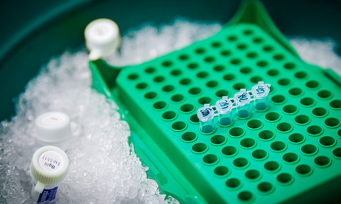 Mikrobiologisches Labor