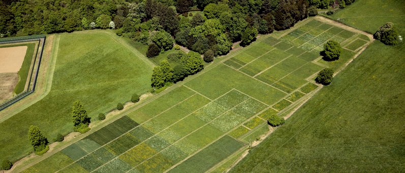 aerial image of a test field with several plots