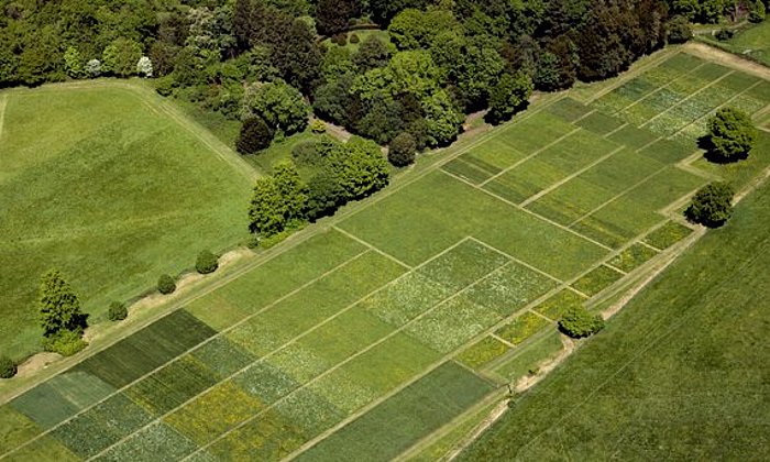 aerial image of a test field with several plots