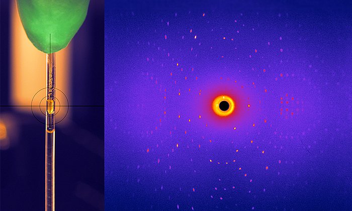 Glykosidasekristall (links), mit seinem Beugungsbild, wie es bei der Neutronenstreuung am Instrument BioDiff entsteht. - Bild: TUM