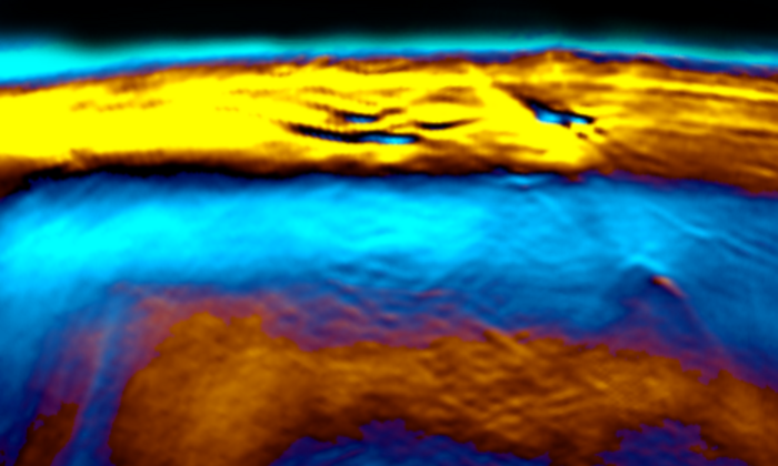 The new laser method MSOT represents brown fat. (Picture: G. Diot/ TUM)