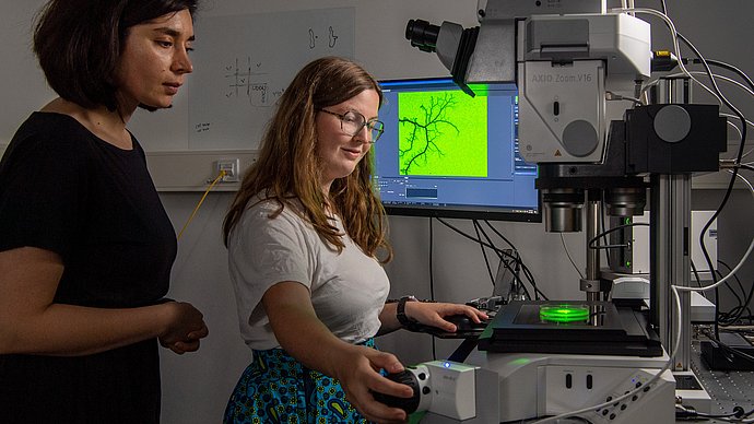 Biophysics laboratory at TUM