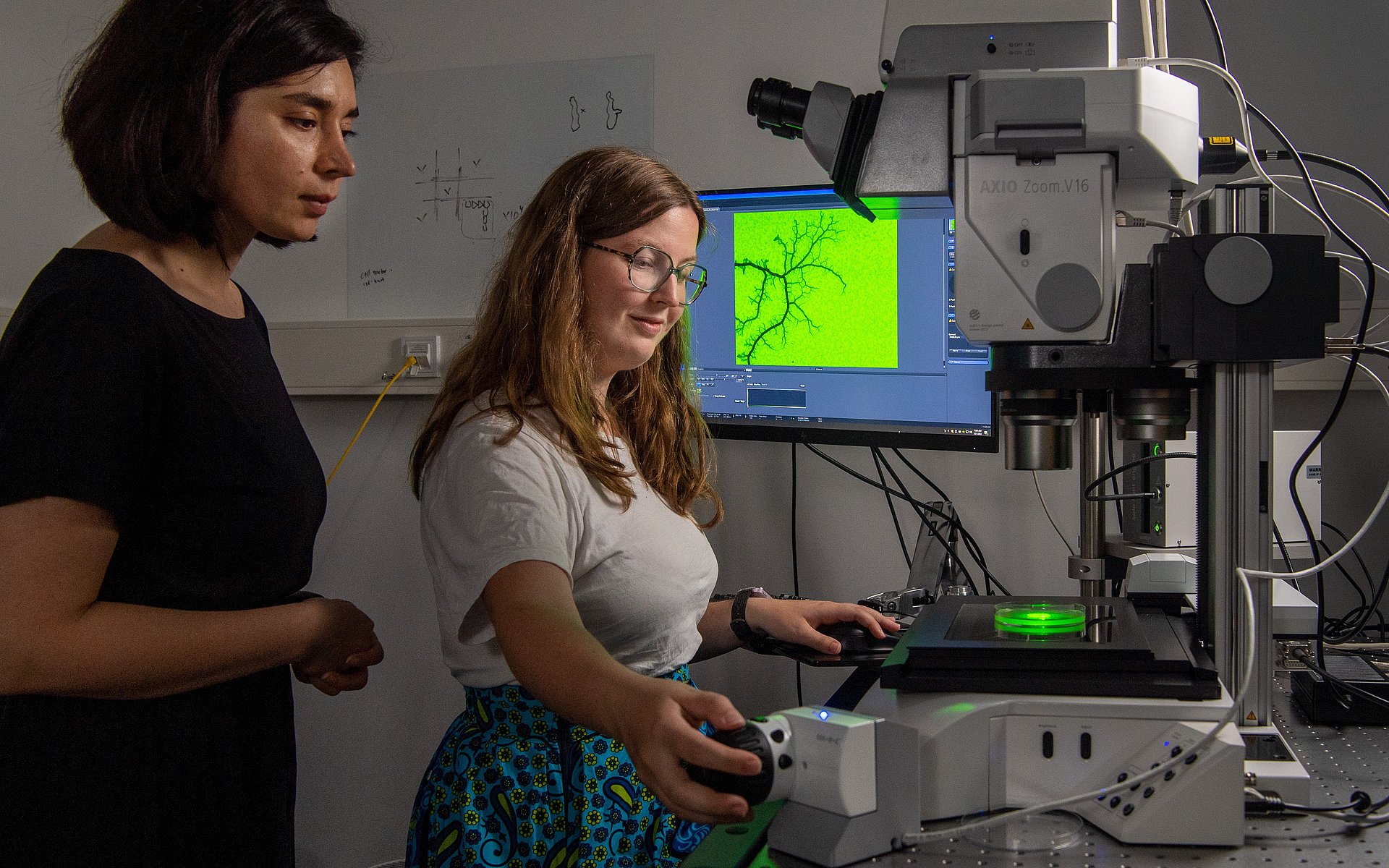 Biophysics laboratory at TUM